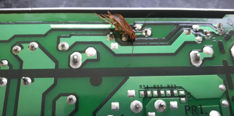 тараканы против лазерных принтеров